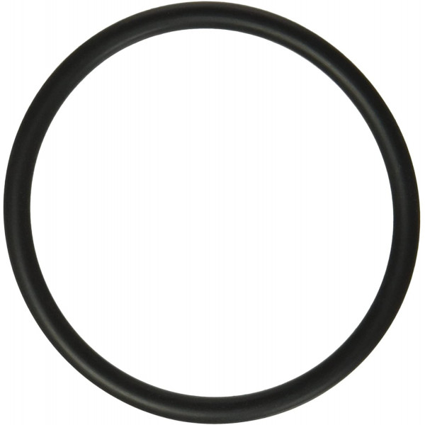 NO.17 SX360Z1 O-ring ( For S311SX, S360SX ) Hayward - 1