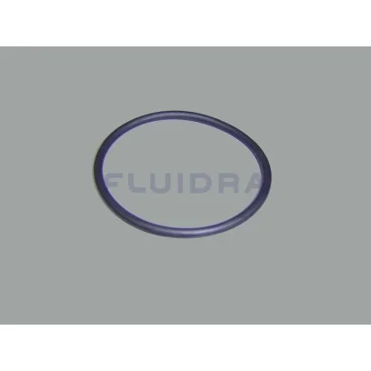 NO.13 4405010161 O RING D. 56.7X3.5 AstralPool Victoria Plus Silent