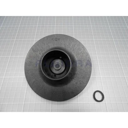 NO.16 4405010595 IMPELLER 1 (II) HP AstralPool Victoria Plus Silent