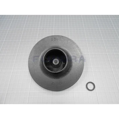 NO.16 4405010599 IMPELLER 2 (II) HP AstralPool Victoria Plus Silent