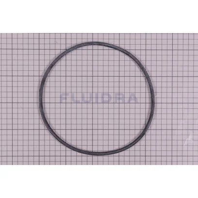 NO.18 4405010487 O' RING AstralPool Victoria Plus Silent