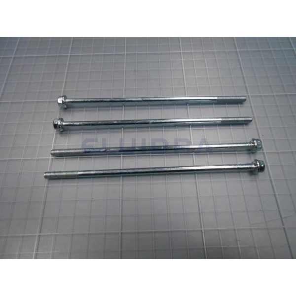 NO.23 4405010144 MOTOR TIES 0,75 - 1 HP Astralpool - 1
