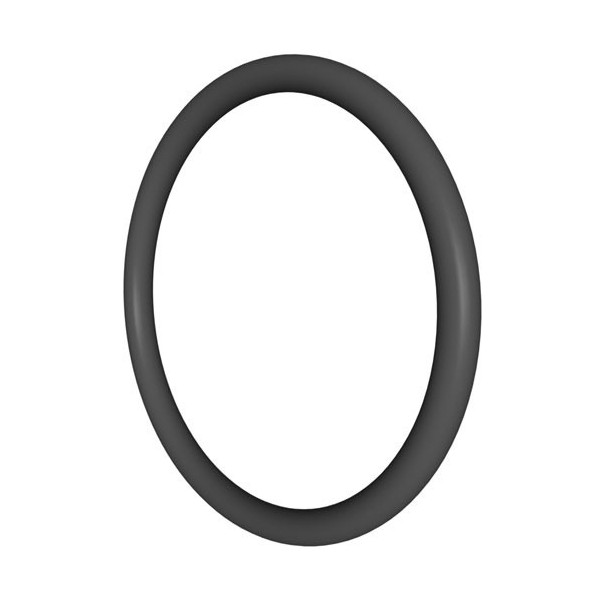 NO.24 SX220Z2 BULKHEAD O-RING Hayward - 1