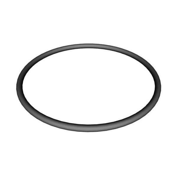 No.3 SPX3000S ซีลฝา Strainer Cover O-Ring Hayward - 1