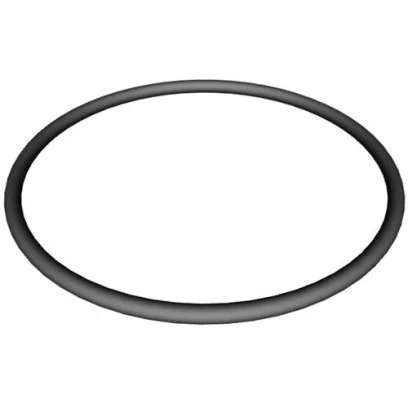 No.3 SPX3000S ซีลฝา Strainer Cover O-Ring - 1