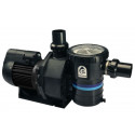 Emaux SB20 2HP 220V