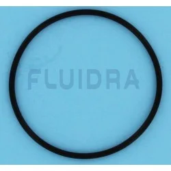 R0739000 TRI ELECTRODE O RING (2 PER PACK) - 1