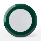 PSN1106 Face Ring 10mm ABS //110EMERALD GREEN - 1