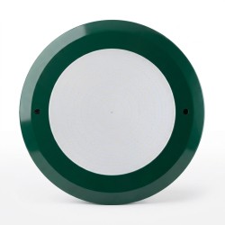 PSN1106 Face Ring Sand Beige 10mm ABS //110EMERALD GREEN - 1