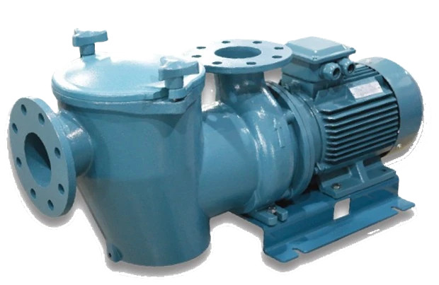 ปั๊มสระว่ายน้ำ Emaux SE Series Heavy Duty Commercial Pool Pump