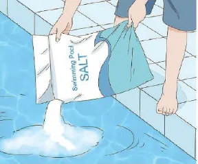 การเทเกลือลงสระ