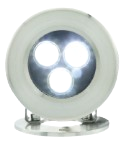 Cool White