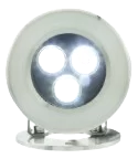 Cool White