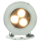 Warm White