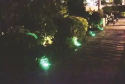 Garden Border Lighting
