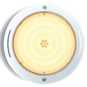 Warm White