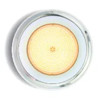Warm White