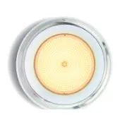 Warm White