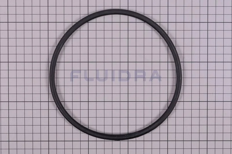 NO.3 4405010178 O RING D 151,7X6,99 AstralPool Victoria Plus Silent